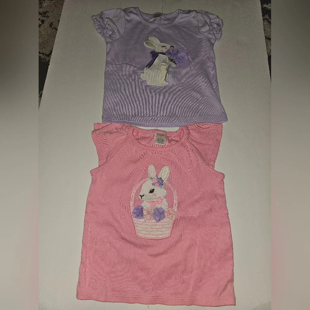2 GYMBOREE Bunny Shirt — 4T Pink Purple